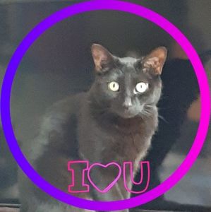 Meet your Posher, Katelynn